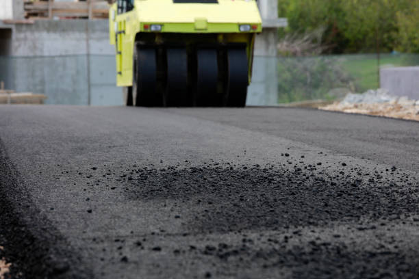 Best Local Driveway Pavers  in Fort Mohave, AZ